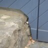 Zweiflügeliges Tor mit Stichbogen Tür-8b